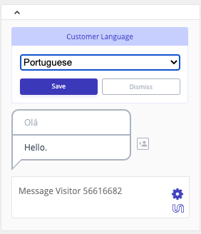 zd_chat_customer_language.png